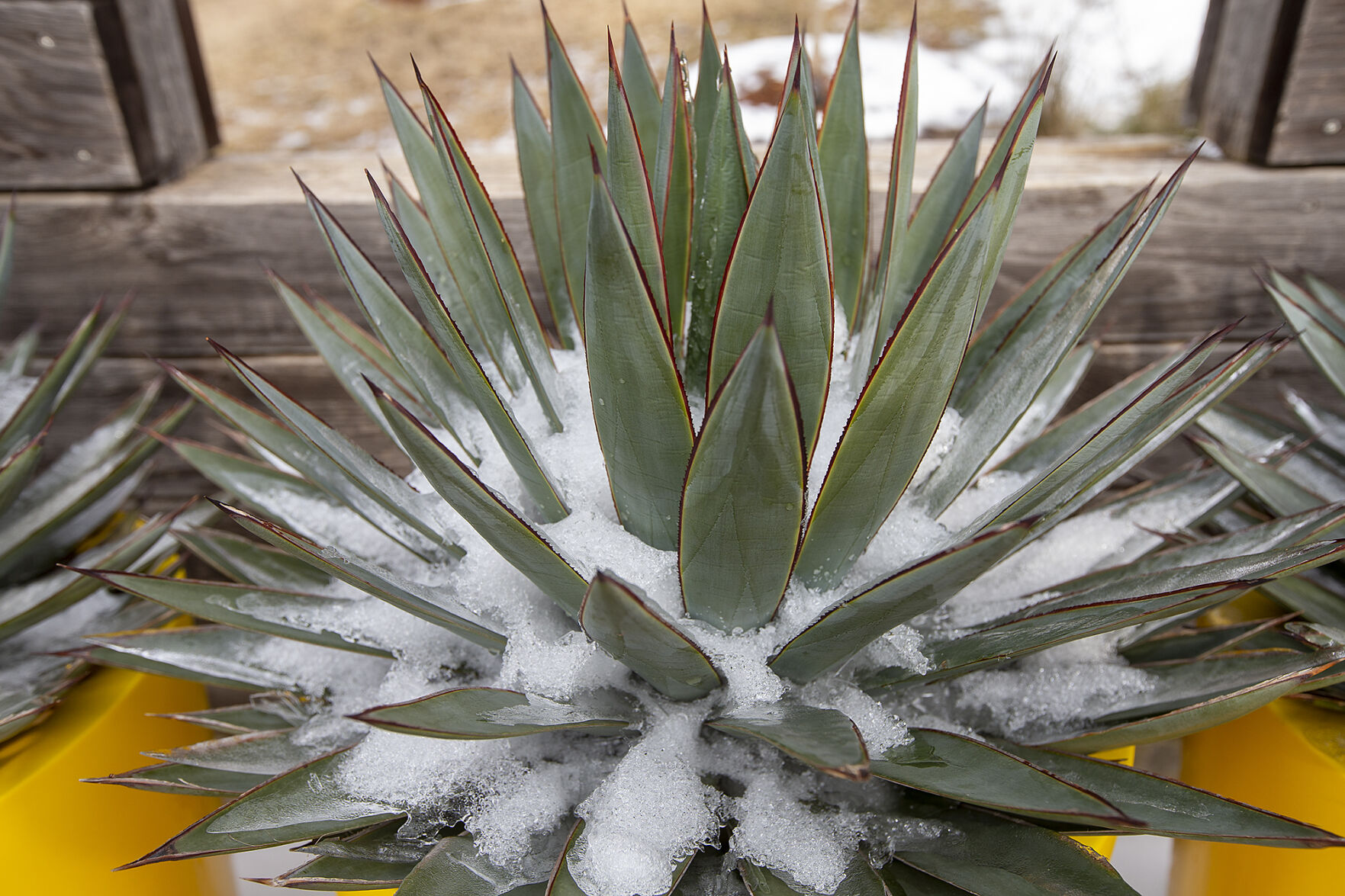 Winter weather